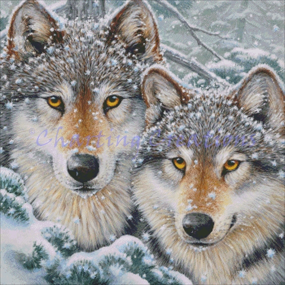 Bonded Pair